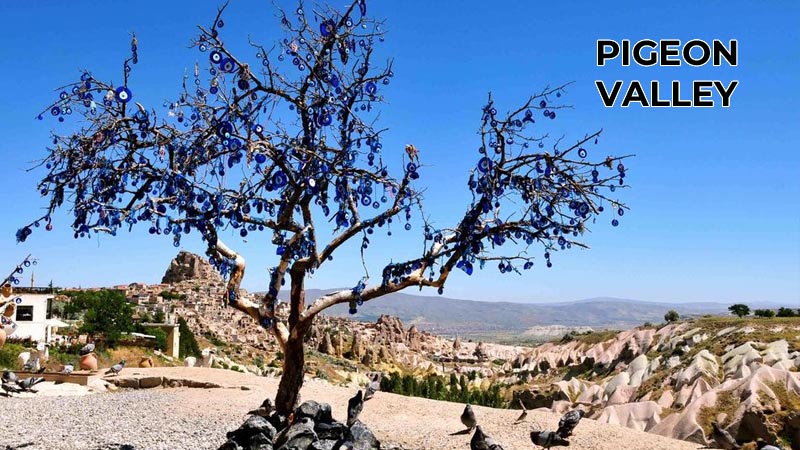 pigeon valley konakli cappadocia