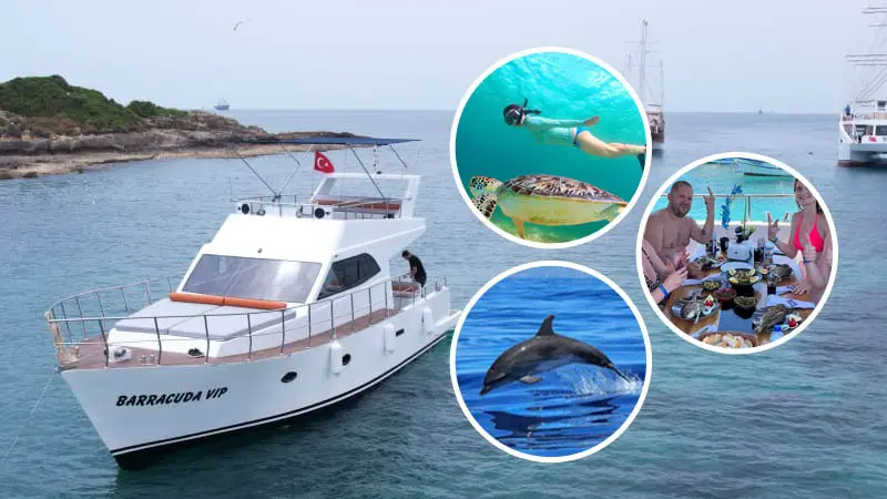 dolphin-tour-with-private-yacht in konakli