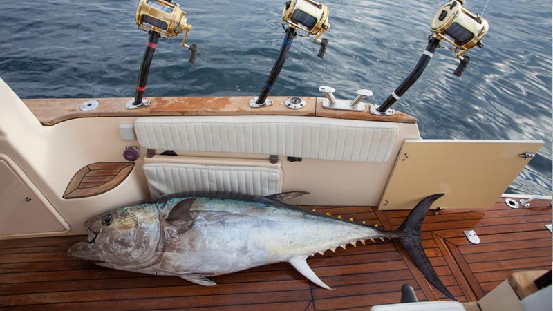 konakli fishing recommendation