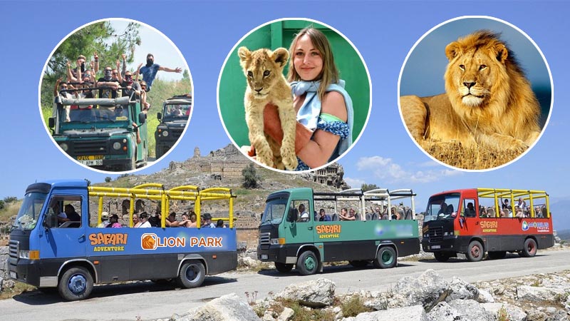 lion safari tour from konakli