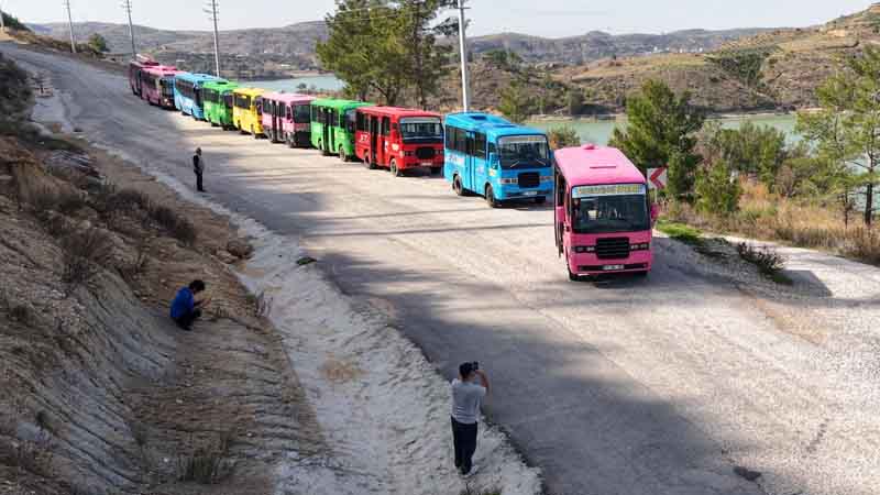 green canyon cabrio bus safari