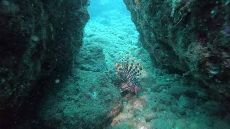 konakli scuba diving in the cave