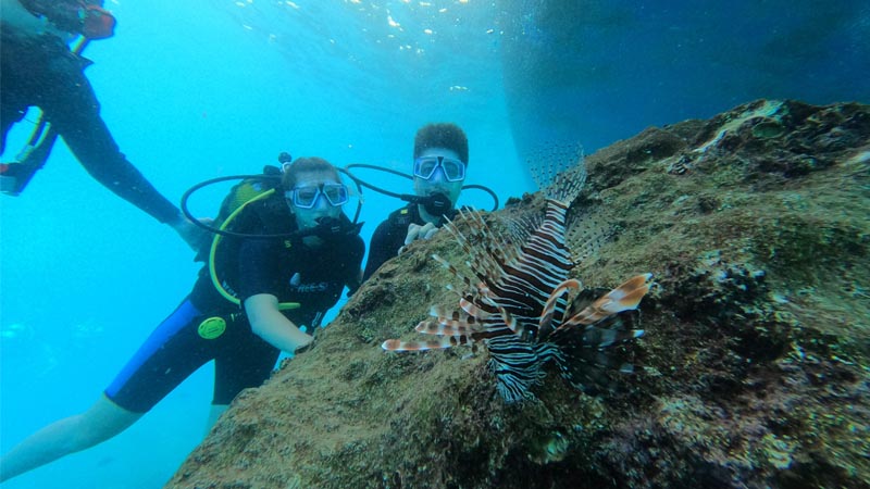 scuba diving in konakli