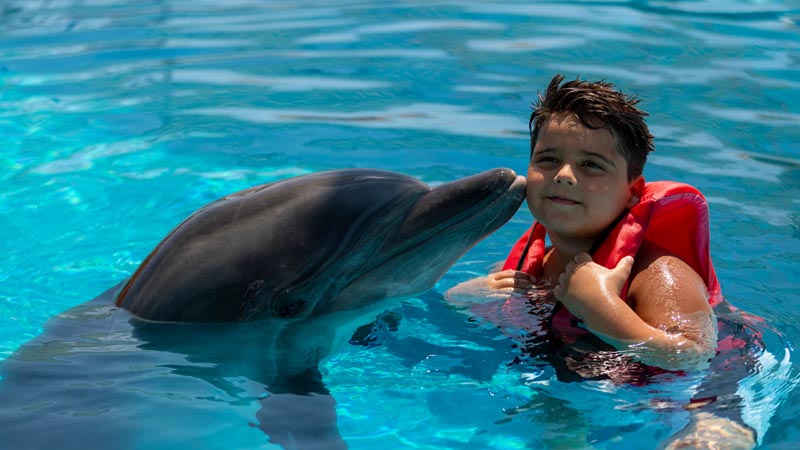 seapark konakli price